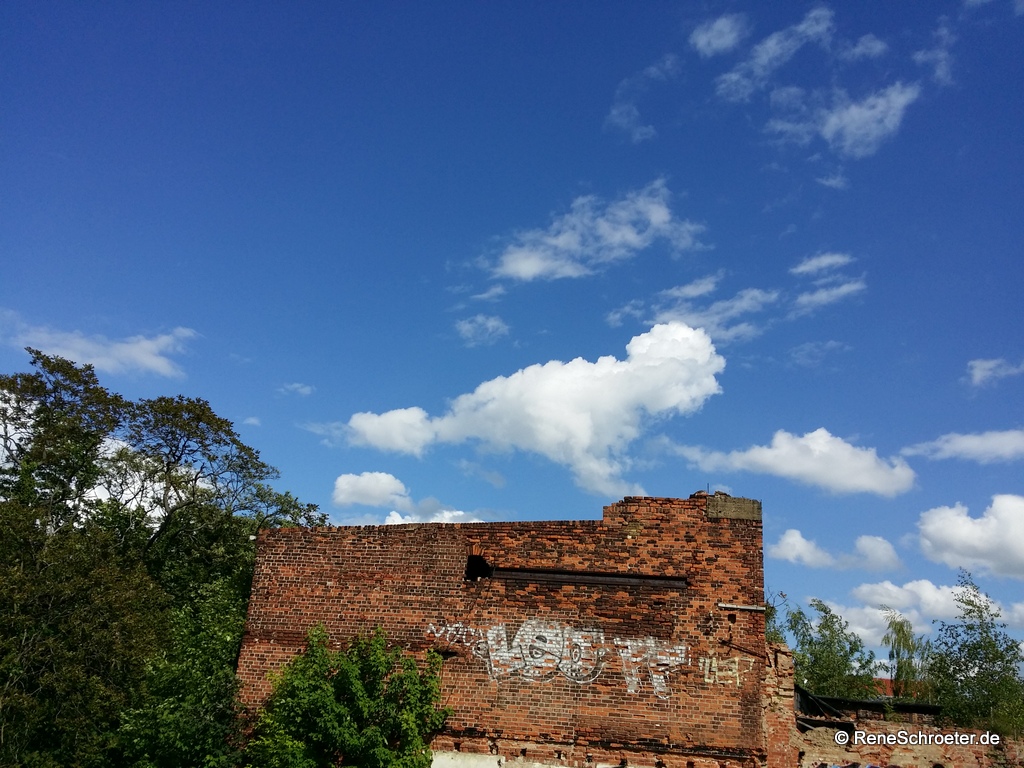 Hahn in den Wolken - Umrisse