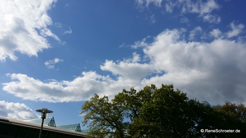 Rennender Hund in den Wolken - Umrisse